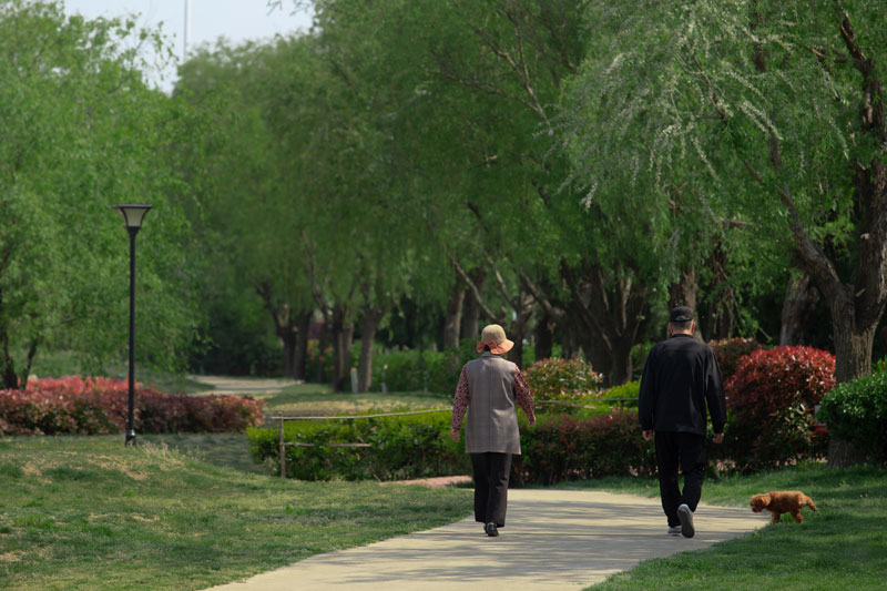 老年人的生理特點是什麽？